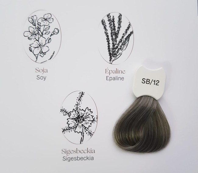 Kydra Le Salon Blonde Beauty SB12 Крем-краска для волос "Экстра Светлый Блонд" с экстрактом сигезбекии, сои, эпалина, 60мл. Kydra Le Salon Blonde Beauty SB12 Крем-краска для волос "Экстра Светлый Блонд" с экстрактом сигезбекии, сои, эпалина, 60мл.