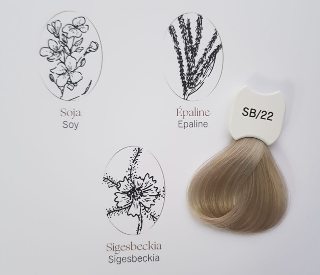 Kydra Le Salon Blonde Beauty SB22 Крем-краска для волос "Экстра Светлый Блонд" с экстрактом сигезбекии, сои, эпалина, 60мл. Kydra Le Salon Blonde Beauty SB22 Крем-краска для волос "Экстра Светлый Блонд" с экстрактом сигезбекии, сои, эпалина, 60мл.