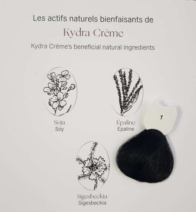 Kydra Crème 1/ Black Hair Colore Treatment Cream Стойкая крем-краска для волос 60 мл Kydra Crème 1/ Black Hair Colore Treatment Cream Стойкая крем-краска для волос 60 мл