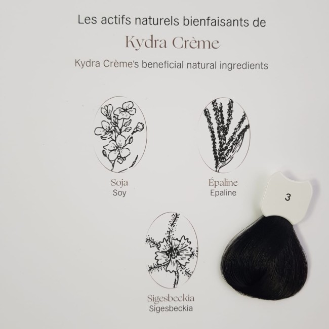 Kydra Crème 3/Dark Brown Hair Colore Treatment Cream Стойкая крем-краска для волос 60 мл Kydra Crème 3/Dark Brown Hair Colore Treatment Cream Стойкая крем-краска для волос 60 мл