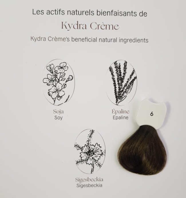 Kydra Crème 6/Dark Blonde Hair Colore Treatment Cream Стойкая крем-краска для волос 60 мл