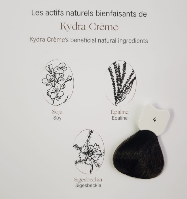 Kydra Crème 4/Brown Hair Colore Treatment Cream Стойкая крем-краска для волос 60 мл Kydra Crème 4/Brown Hair Colore Treatment Cream Стойкая крем-краска для волос 60 мл