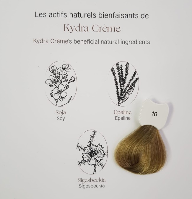 Kydra Crème 10/ Lightest Blonde Hair Colore Treatment Cream Стойкая крем-краска для волос 60мл Kydra Crème 10/ Lightest Blonde Hair Colore Treatment Cream Стойкая крем-краска для волос 60мл